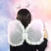 Disfraz Mariposa - ANGEL WINGS
