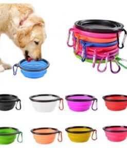 Bowl Plegable para Mascotas