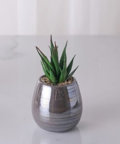 Maceta Nacar Gris