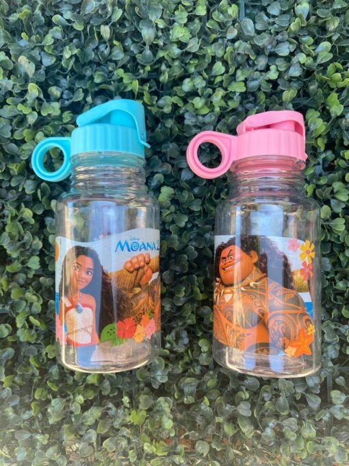 Botella Flip Top  500ml - Moana