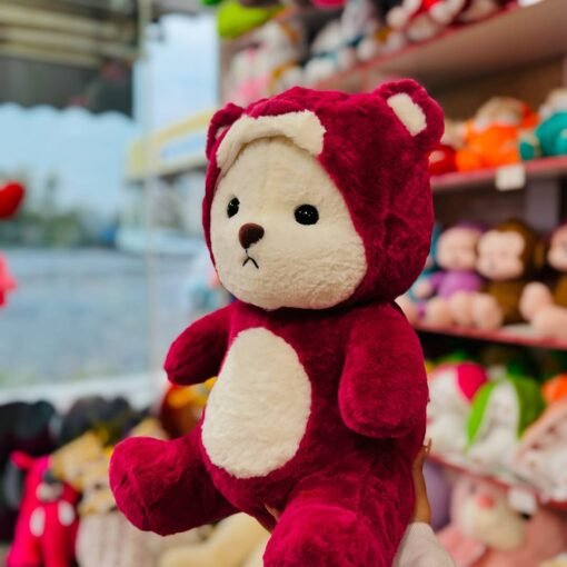 Peluche con manta - Osito Disfraz - Imagen 8
