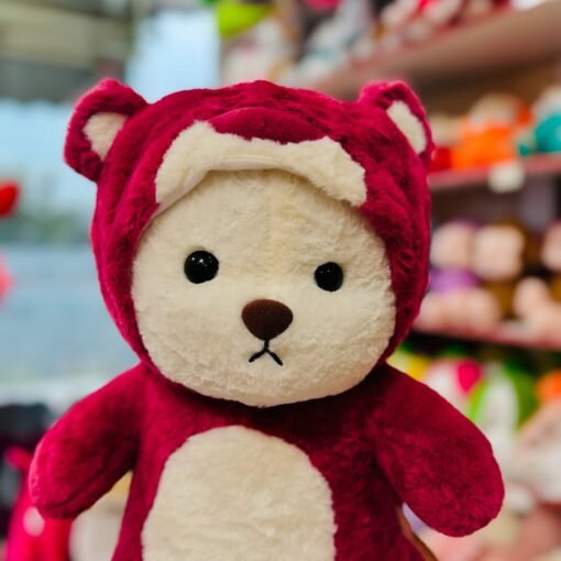 Peluche con manta - Osito Disfraz - Imagen 7