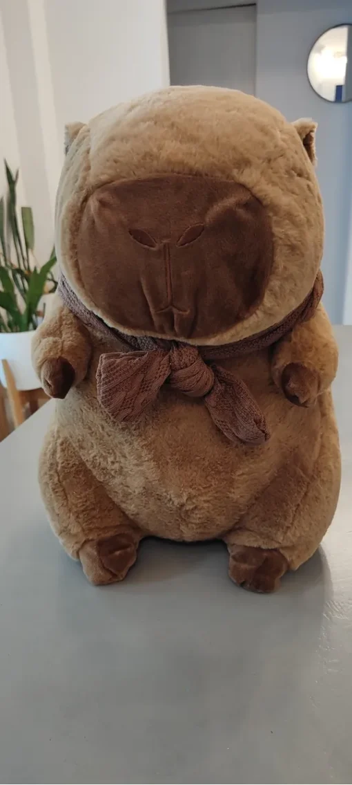 Peluche Capybara con manta y accesorios - Imagen 15